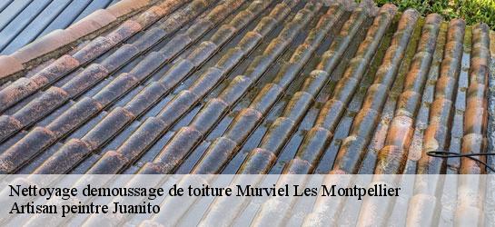 Nettoyage demoussage de toiture 34570