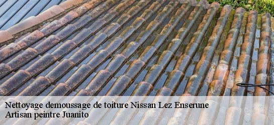 Nettoyage demoussage de toiture  34440