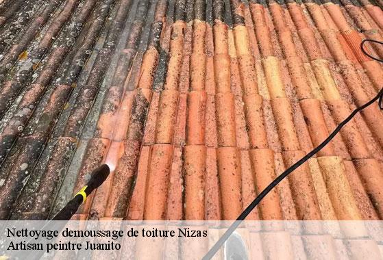 Nettoyage demoussage de toiture nizas-34320 Artisan peintre Juanito