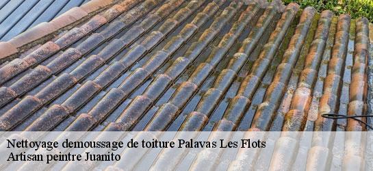 Nettoyage demoussage de toiture 34250