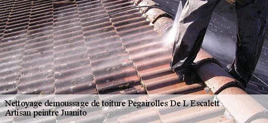 Nettoyage demoussage de toiture 34700