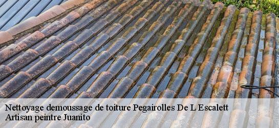 Nettoyage demoussage de toiture 34700