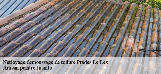 Nettoyage demoussage de toiture  34730