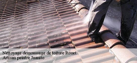 Nettoyage demoussage de toiture 34380