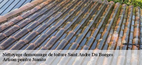 Nettoyage demoussage de toiture  34190