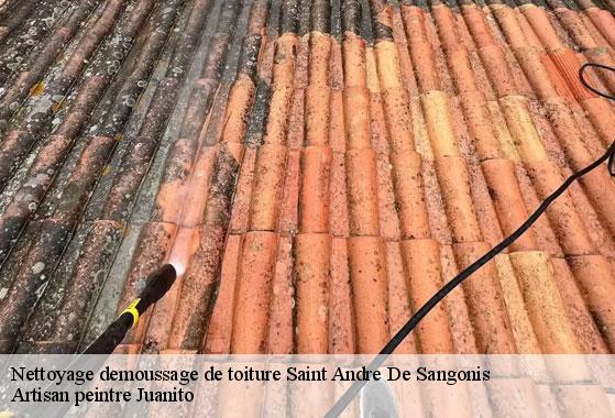 Nettoyage demoussage de toiture  saint-andre-de-sangonis-34725 Artisan peintre Juanito