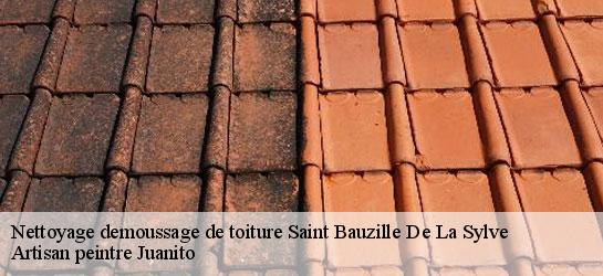 Nettoyage demoussage de toiture 34230