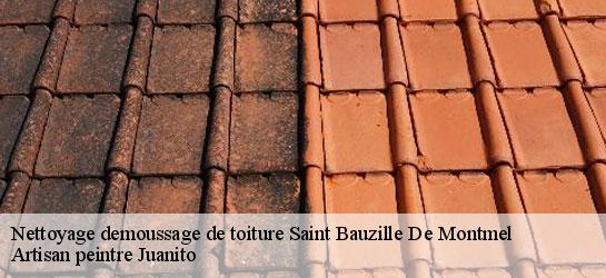 Nettoyage demoussage de toiture  34160