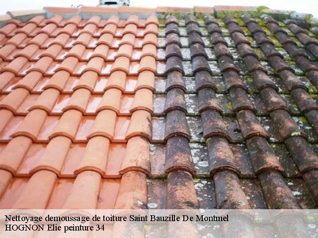 Nettoyage demoussage de toiture  saint-bauzille-de-montmel-34160 HOGNON Elie peinture 34