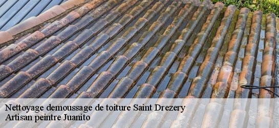 Nettoyage demoussage de toiture  34160