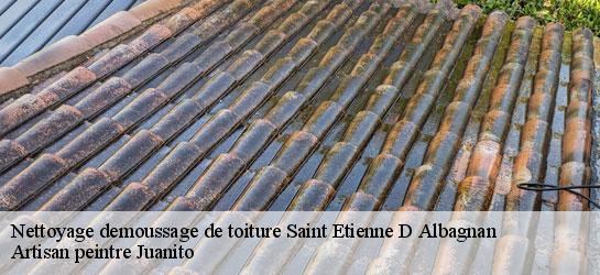 Nettoyage demoussage de toiture  34390