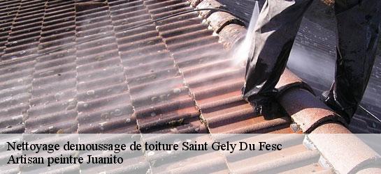 Nettoyage demoussage de toiture 34980