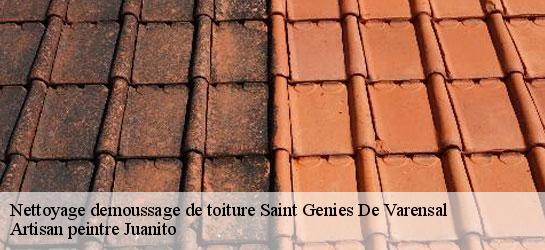 Nettoyage demoussage de toiture  34610