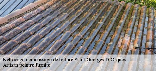 Nettoyage demoussage de toiture 34680