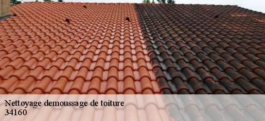 Nettoyage demoussage de toiture 34160