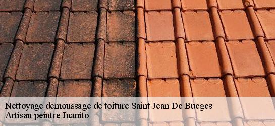 Nettoyage demoussage de toiture  34380