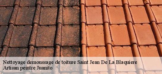 Nettoyage demoussage de toiture 34700