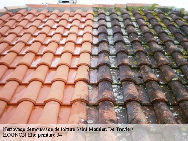 Nettoyage demoussage de toiture  saint-mathieu-de-treviers-34270 HOGNON Elie peinture 34