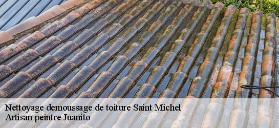 Nettoyage demoussage de toiture 34520