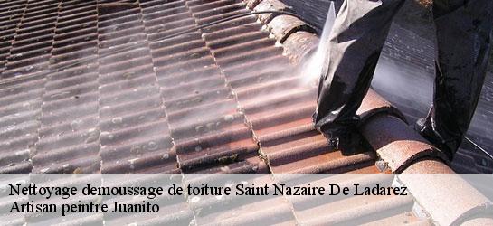 Nettoyage demoussage de toiture  34490