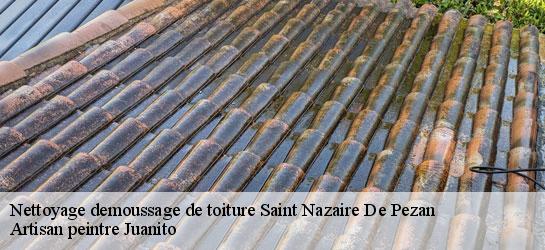 Nettoyage demoussage de toiture 34400