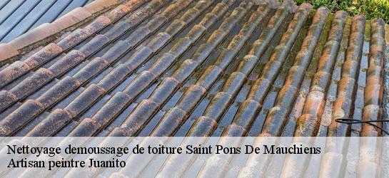 Nettoyage demoussage de toiture 34230