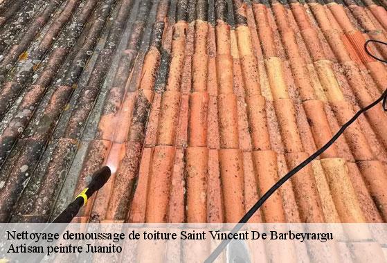 Nettoyage demoussage de toiture saint-vincent-de-barbeyrargu-34730 Artisan peintre Juanito