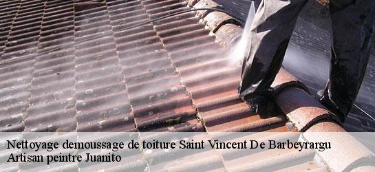 Nettoyage demoussage de toiture 34730