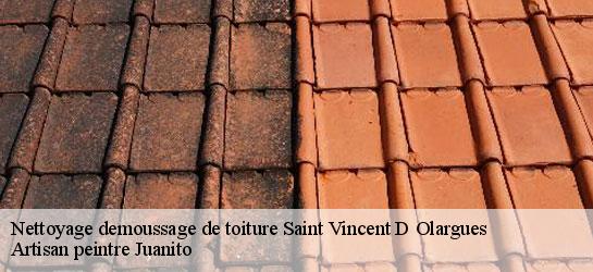 Nettoyage demoussage de toiture  34390