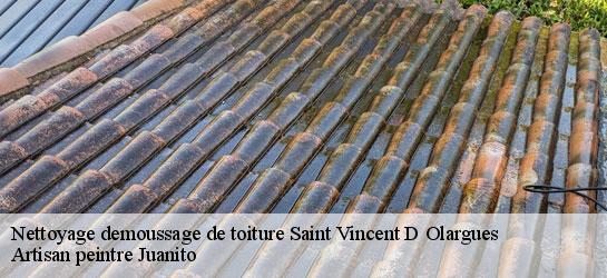 Nettoyage demoussage de toiture  34390