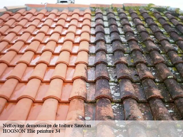 Nettoyage demoussage de toiture  sauvian-34410 HOGNON Elie peinture 34