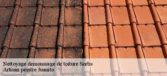 Nettoyage demoussage de toiture 34520