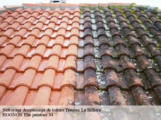 Nettoyage demoussage de toiture  taussac-la-billiere-34600 HOGNON Elie peinture 34