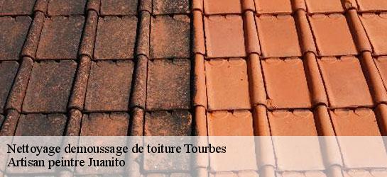 Nettoyage demoussage de toiture  34120