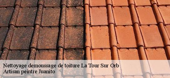 Nettoyage demoussage de toiture  34260