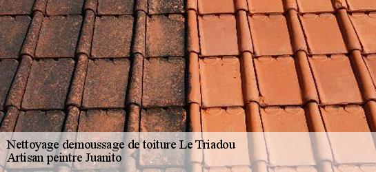 Nettoyage demoussage de toiture  34270