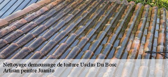 Nettoyage demoussage de toiture  34700