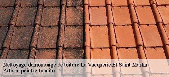 Nettoyage demoussage de toiture  34520