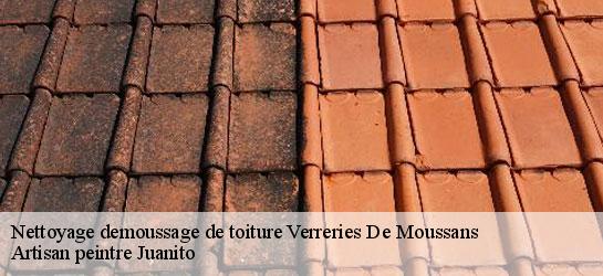 Nettoyage demoussage de toiture  34220