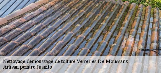 Nettoyage demoussage de toiture  34220