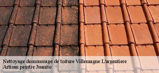 Nettoyage demoussage de toiture 34600