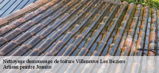 Nettoyage demoussage de toiture  34420