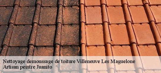 Nettoyage demoussage de toiture  34750