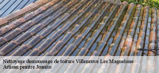 Nettoyage demoussage de toiture  34750