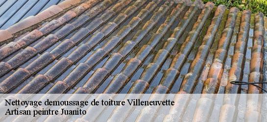 Nettoyage demoussage de toiture 34800