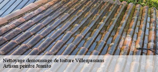 Nettoyage demoussage de toiture 34360