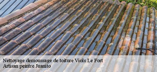 Nettoyage demoussage de toiture  34380