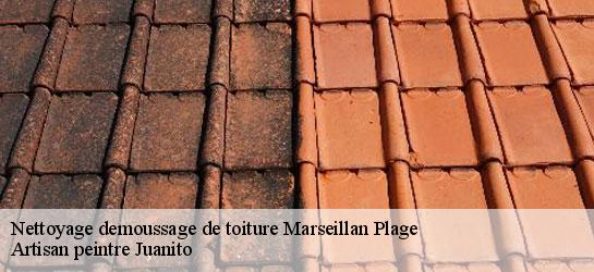 Nettoyage demoussage de toiture 34340