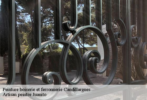 Peinture boiserie et ferronnerie candillargues-34130 Artisan peintre Juanito