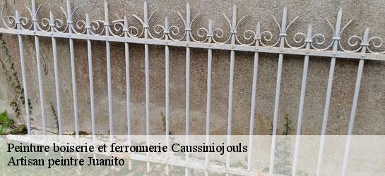 Peinture boiserie et ferronnerie  34600